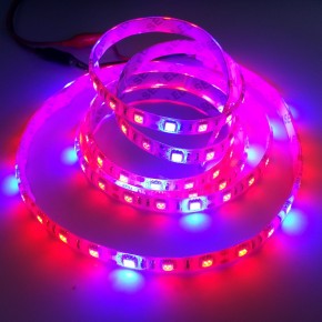 Red Blue 4 1 5050 Plant Growing Led Strip Light Hydroponic 12v 5m