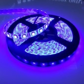 12V 5M 300 LEDs Blue 5050 IP65 Waterproof Flexible LED Strip Light