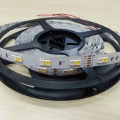 24V 5050 RGBW LED Strip Light 72LEDs/m High Lumen Lighting Tape