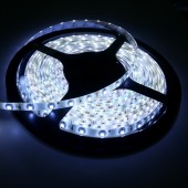 24V SMD 3528 White/Warm White Flexible LED Light Strip 60LED/M