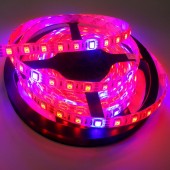 16.4ft 12V Plant Growth Light 5050 Flexible Led Strips Red Blue 5M