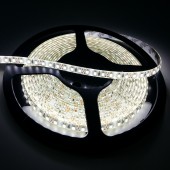 High Lumen 12V DC SMD 2835 IP65 LED Strip Light 5M 600LEDs