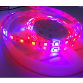 Red/Blue 4:1 5050 Plant Growing LED Strip Light Hydroponic 12V 1M